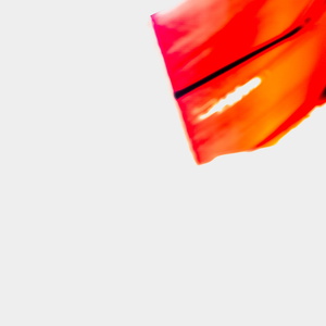 Minimalismus Rot-002