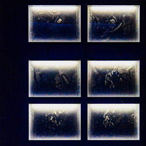 Inspired by Saul-166