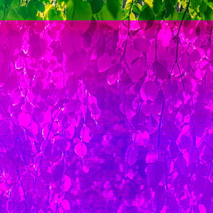 Cover-217